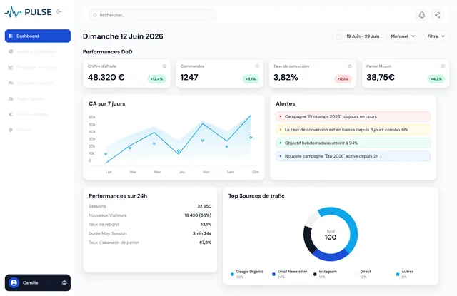 Dashboard analytics — vue de synthèse chiffre d'affaires, commandes et sources de trafic